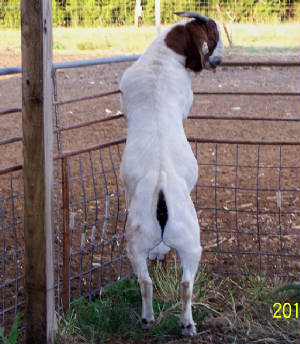 topside0028.jpg