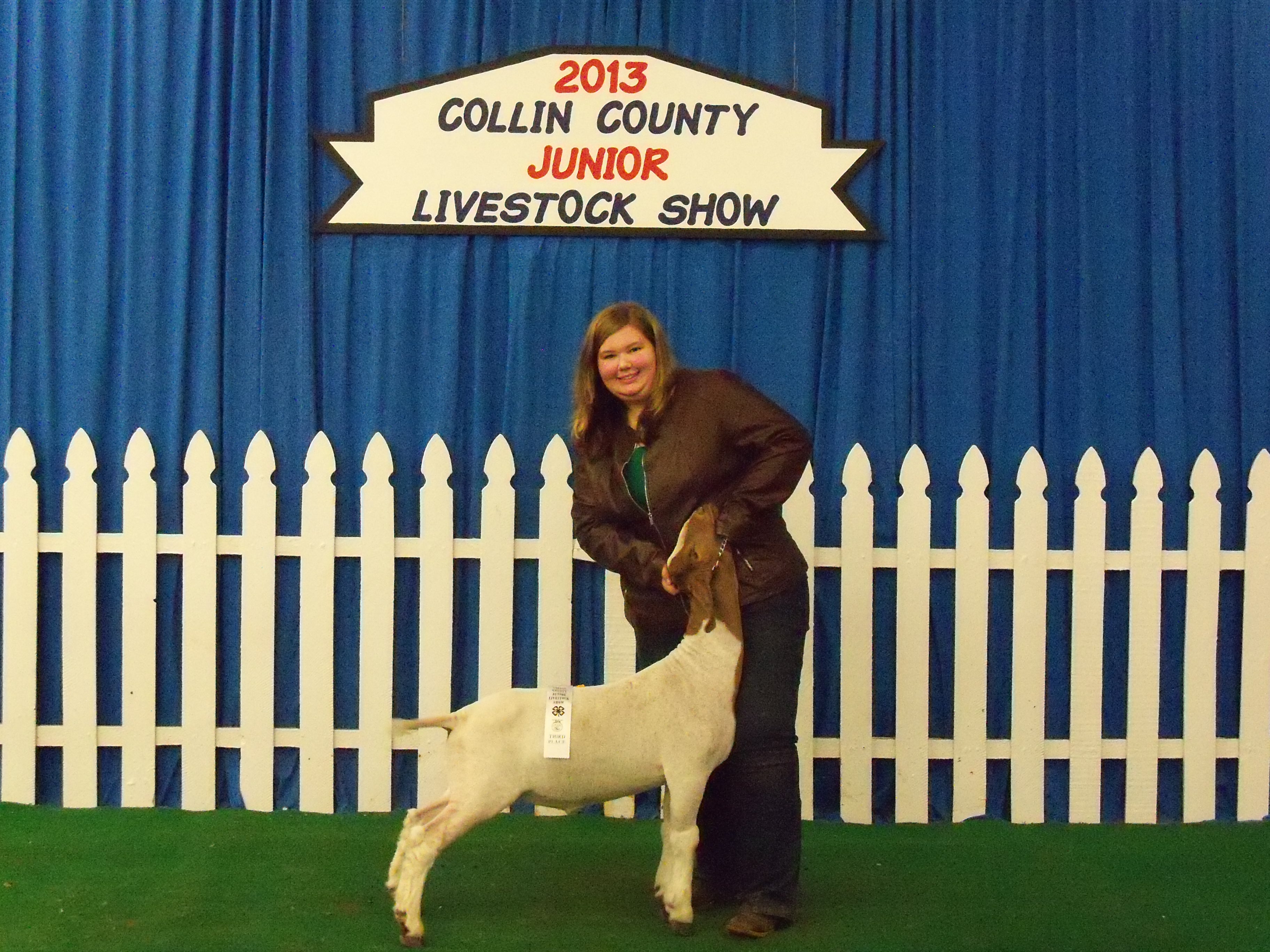 collincounty.jpg